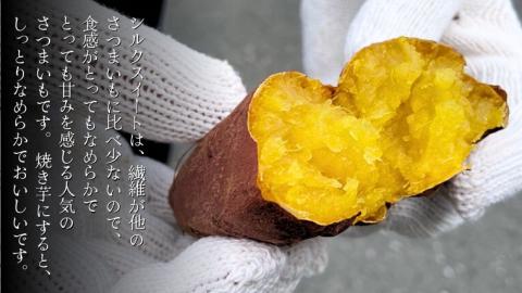 シルクスイート 約5kg (茨城県共通返礼品／行方市) 2025年11月から発送開始 渋谷農園 さつまいも いも 芋 焼き芋 [DT009sa]