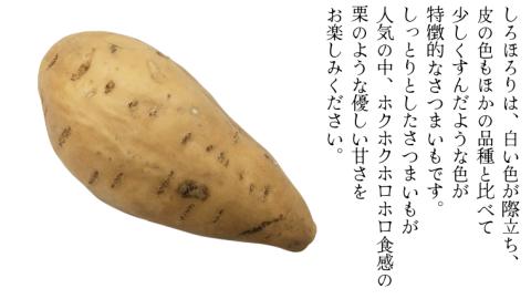 しろほろり 約5kg (茨城県共通返礼品／行方市) 2025年11月から発送開始 渋谷農園 さつまいも いも 芋 焼き芋 [DT011sa]