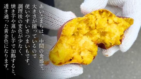 あいこまち 約10kg (茨城県共通返礼品／行方市) 2025年11月から発送開始 渋谷農園 さつまいも いも 芋 焼き芋 [DT014sa]