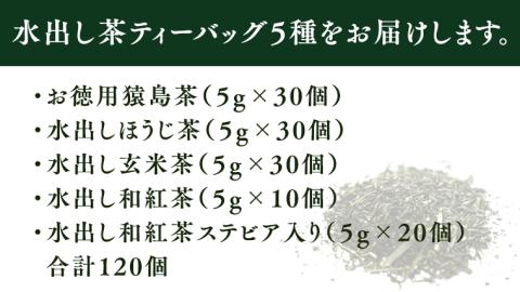水出し茶 ティーバッグ 5種 詰め合わせ 【茨城県共通返礼品／八千代町】 お徳用 さしま茶 水出し ほうじ茶  玄米茶  和紅茶 松田製茶 [DV004sa]