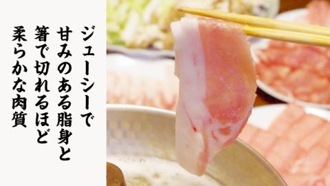 美明豚 × 常陸牛 しゃぶしゃぶ用 食べ比べ セット 約1,200g 【茨城県共通返礼品/行方市】  ブランド豚 しゃぶしゃぶ SPF 豚肉 バラ モモ [DS008sa]