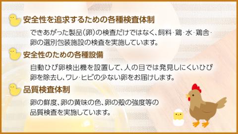 雪平養鶏場 桜川育ちの 新鮮 たまご 合計30個（20個＋10個割れ補償付) 数量限定 卵 [SC032sa]