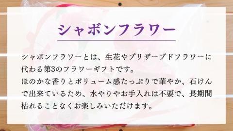 壁掛け シャボンフラワー S フラワーギフト 贈り物 ギフト 誕生日 プレゼント 石鹸素材 枯れないお花 [DP007sa]