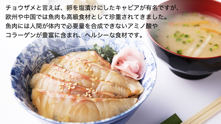 【夏だ!! チョウザメ と プール で遊ぼう】 親子 で ふれあい体験 チケット （チョウザメ漬丼 ランチ 付き）大人1名 小人1名 レジャー アクティビティ 動物ふれあい 夏休み 体験チケット チケット [AI016sa]