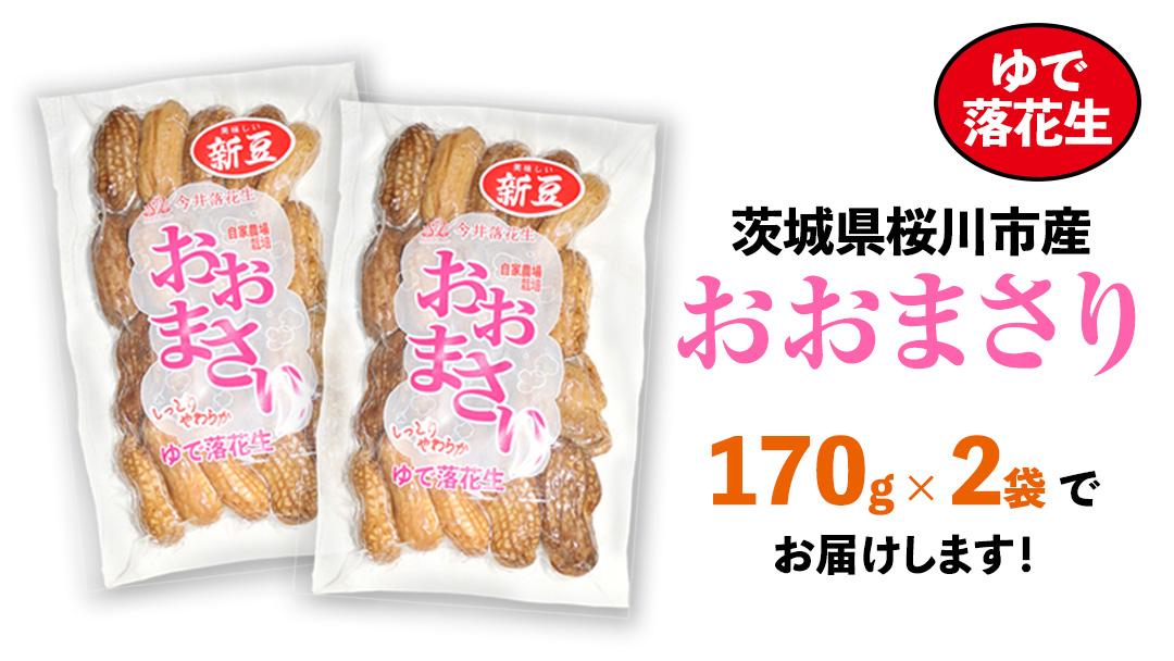おおまさり ゆで落花生 合計340g (170g×2袋) 【2025年10月中旬から発送開始】 簡易包装 ポスト投函 ご自宅用 ピーナッツ 落花生 おつまみ おやつ お菓子 ナッツ [BB012sa]
