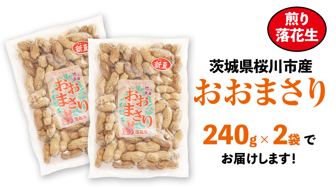 おおまさり 煎り落花生 合計480g (240g×2袋) 【2025年11月上旬から発送開始】 簡易包装 ご自宅用 ピーナッツ 落花生 おつまみ おやつ お菓子 ナッツ [BB013sa]
