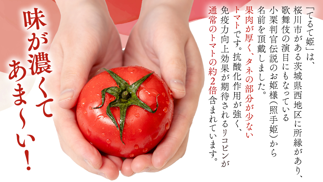 《 テレビで紹介 》 糖度9度以上 スーパーフルーツトマト てるて姫 中箱 約1.2kg × 1箱 【12?15玉/1箱】 2026年収穫分 先行予約 フルーツトマト ブランドトマト 野菜 ギフト 贈答 青空レストラン アド街ック天国 グッドモーニング 黄金のワンスプーン