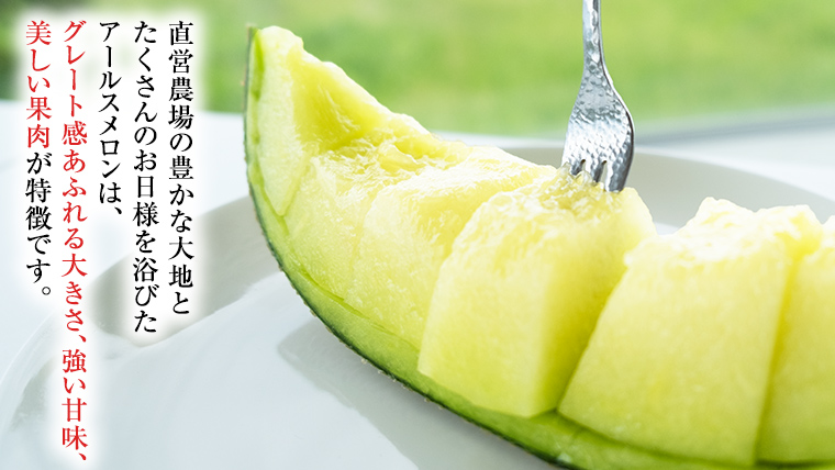 【2025年8月下旬発送開始】 季節 限定 ！甘さ満点 アールスメロン 2玉 入箱 果物 フルーツ 農家直送 産直 青肉メロン 特産品 マスクメロン メロン くだもの 茨城 [BC045sa]