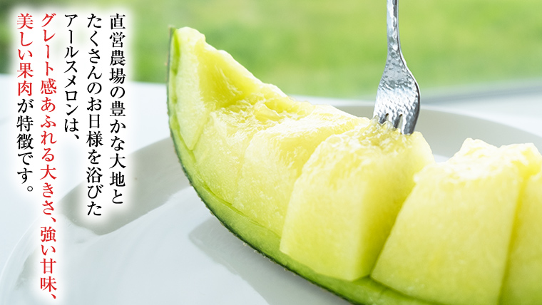 【2025年8月下旬発送開始】 季節 限定 ！甘さ満点 アールス メロン 大箱 （ 4?5玉 ） 果物 フルーツ 農家直送 産直 青肉メロン 特産品 マスクメロン メロン くだもの 茨城 [BC046sa]