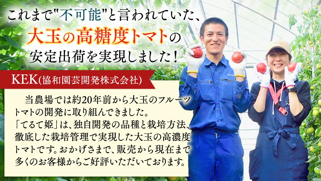 《 テレビで紹介 》【 2026年収穫分 先行予約 】【 3回 定期便 】 糖度9度以上 スーパーフルーツトマト てるて姫 小箱 約800g × 1箱 × 3回 フルーツトマト ブランドトマト 野菜 ギフト 贈答 青空レストラン アド街ック天国 グッドモーニング 黄金のワンスプーン [BC052sa]