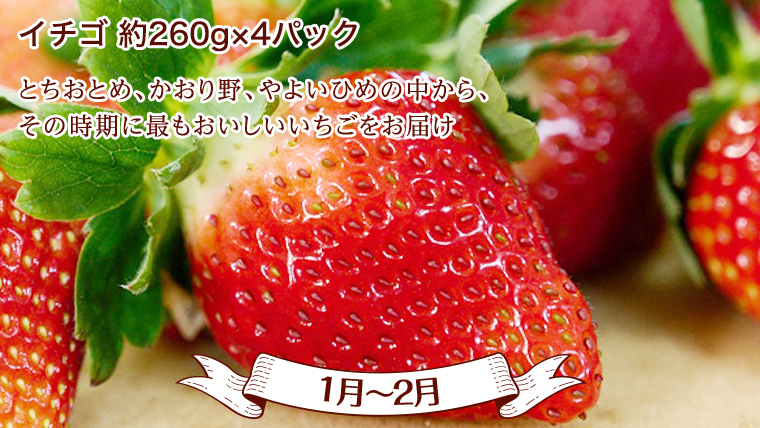 【 定期便 】【 2026年9月上旬から発送開始 全4回 】 数量限定 贅沢 フルーツ 満喫コース 旬の果実 旬のフルーツ くだもの 果実 トマト フルーツトマト スイカ いちご メロン 特選 贅沢 厳選 定期便  [BC057sa]