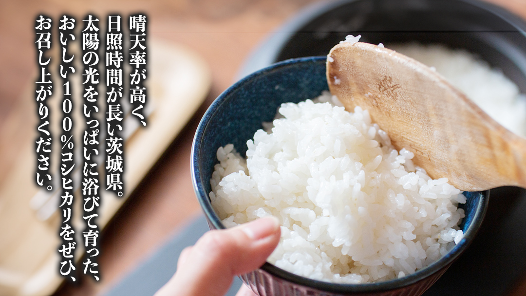 【令和7年】茨城県産 コシヒカリ 10kg 令和7年産 単一原料米 精米 米 お米 コメ 白米 こしひかり 茨城県 [BC083sa]