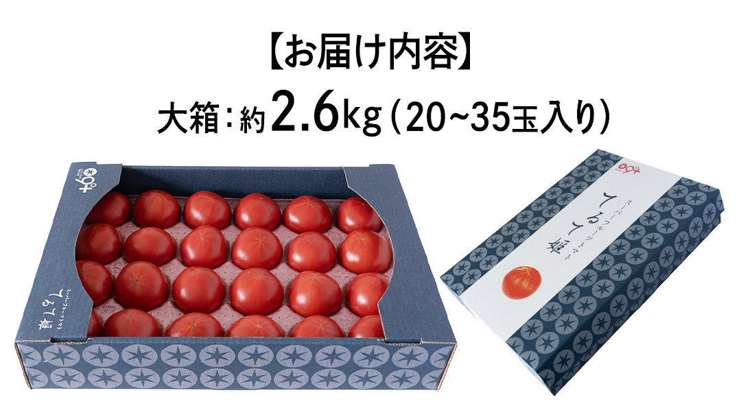 【母の日専用】 スーパーフルーツトマト てるて姫 大箱 約2.6kg ×1箱 糖度9度以上 《5月4日～10日お届け メッセージカード付》 トマト とまと 野菜 母の日 ギフト 贈り物 プレゼント 感謝 記念日 [BC094sa]