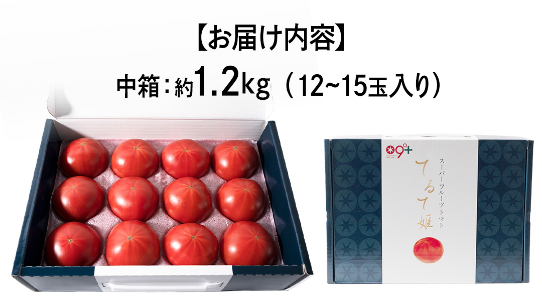 【母の日専用】 スーパーフルーツトマト てるて姫 中箱 約1.2kg ×1箱 糖度9度以上 《5月4日～10日お届け メッセージカード付》 トマト とまと 野菜 母の日 ギフト 贈り物 プレゼント 感謝 記念日 [BC095sa]