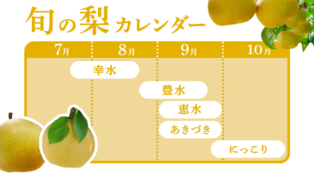 幸水 約 5kg （8～14玉） 2026年産 先行予約 梨 果物 フルーツ なし ナシ 幸水梨 くだもの デザート 茨城 [BQ019sa]