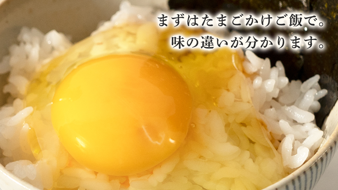 【3ヶ月定期便】枝さんち の たまご 20個×3回 合計60個 定期便 産地直送 たまご 玉子 生卵 鶏卵 タマゴ 平飼い 桜川市産 茨城県産 卵 非遺伝子組換え [BT004sa]