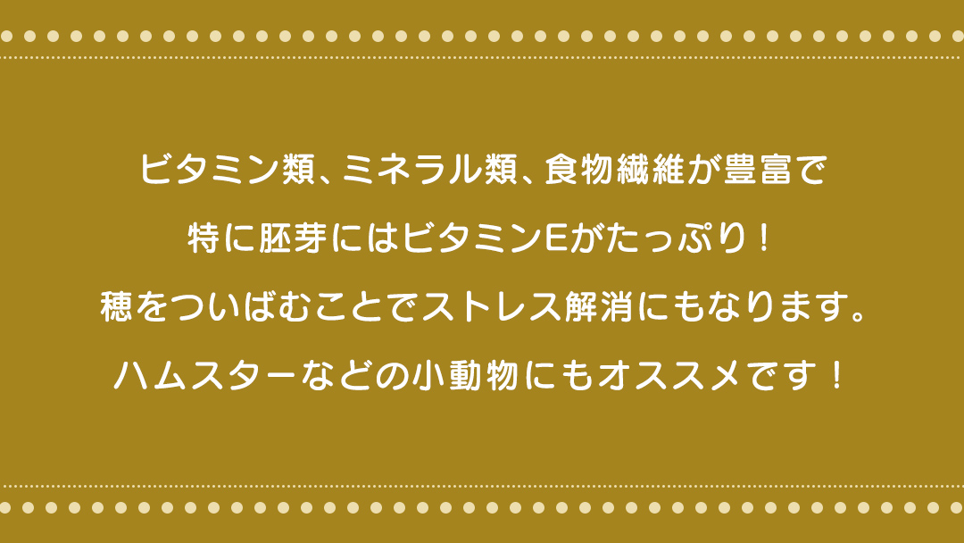 エクセル 粟の穂 130g × 5袋 小鳥用 鳥 ハムスター 小動物 ペットフード 餌 えさ ビタミン ミネラル 食物繊維 穀物  [BU023sa]