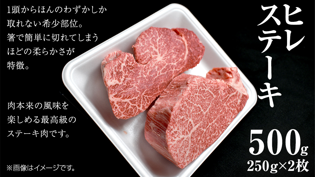 【 常陸牛 】 ヒレ ステーキ 250g × 2枚 (合計 500g )（茨城県共通返礼品） 茨城県産 牛ヒレ肉 牛肉 ヒレ 牛ヒレ ステーキ 常陸牛 藤井商店 [CD065sa]