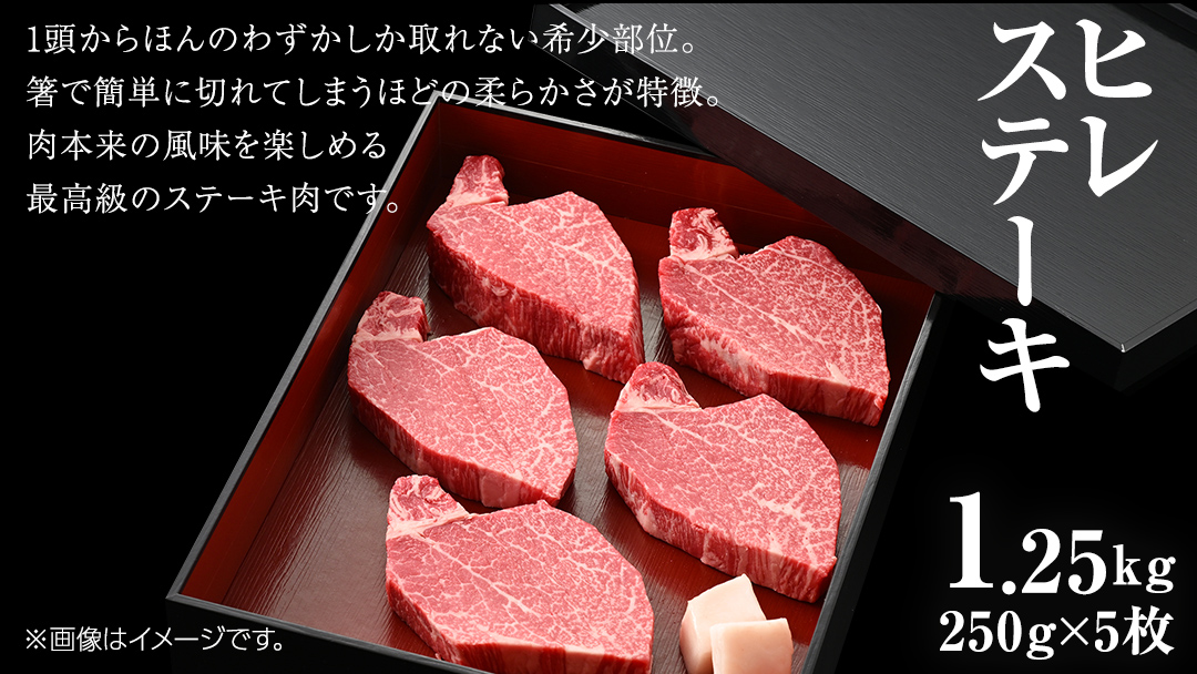 【 常陸牛 】 ヒレ ステーキ 250g × 5枚 (合計 1.25kg )（茨城県共通返礼品） 茨城県産 牛ヒレ肉 牛肉 ヒレ 牛ヒレ ステーキ 常陸牛 藤井商店 [CD068sa]