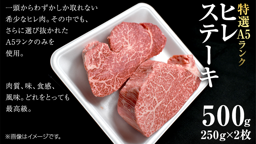 【 常陸牛 特選 A5 】 ヒレ ステーキ 250g × 2枚 (合計 500g )（茨城県共通返礼品） 茨城県産 牛ヒレ肉 牛肉 ヒレ 牛ヒレ ステーキ 常陸牛 藤井商店 [CD071sa]