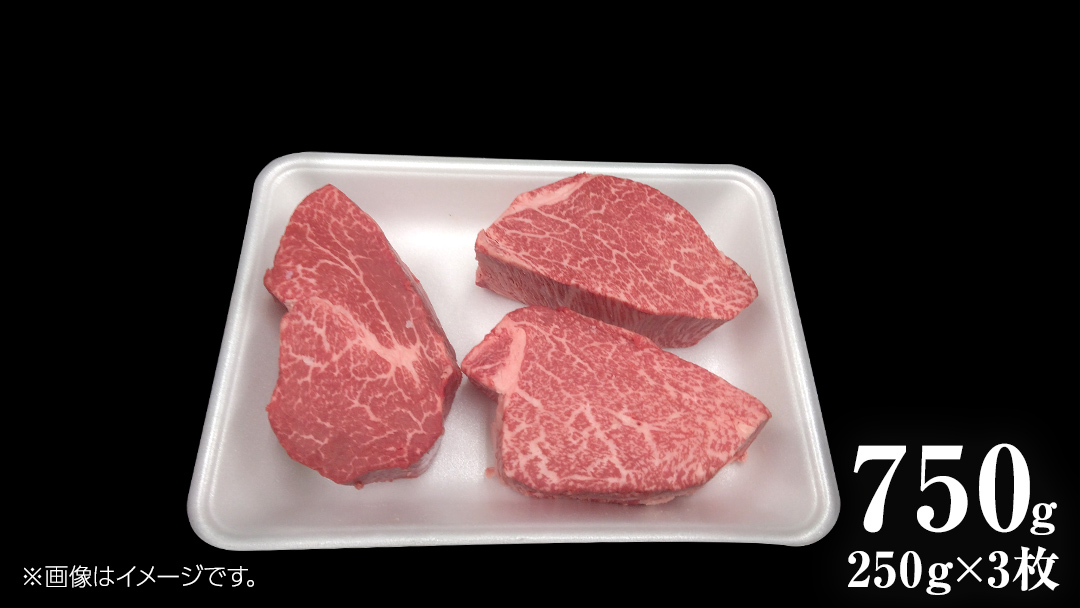 【 常陸牛 特選 A5 】 ヒレ ステーキ 250g × 3枚 (合計 750g )（茨城県共通返礼品） 茨城県産 牛ヒレ肉 牛肉 ヒレ 牛ヒレ ステーキ 常陸牛 藤井商店 [CD072sa]