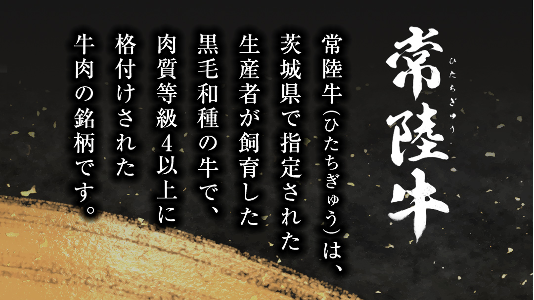 常陸牛 牛ひき肉 1kg (500g × 2パック)(茨城県共通返礼品) 国産黒毛和牛 黒毛和牛 国産 国産牛 和牛 牛肉 お肉 お肉 肉 牛 専門店 ひたち牛 ブランド牛 A4 A5 ランク ひき肉 挽肉 ブランド 冷凍 煮込み ハンバーグ メンチカツ 藤井商店 小分け [CD102sa]