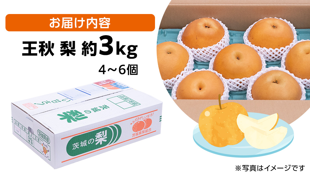 【2026年11月中旬から発送開始】王秋梨 約3kg 4玉～6玉 (茨城県共通返礼品:城里町) フルーツ 甘い お正月 クリスマス 大玉 直送 茨城 限定 [CO009sa]