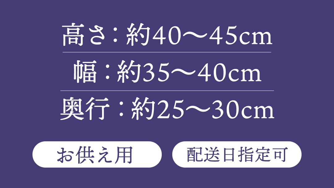 【 配送日指定可 】【 定期便 /3ヶ月連続】季節の お供え用 アレンジメントフラワー 仏花 お盆 お供え お悔やみ 仏事 法事 命日 お盆 秋彼岸 春彼岸 正月 生花 [CY010sa]