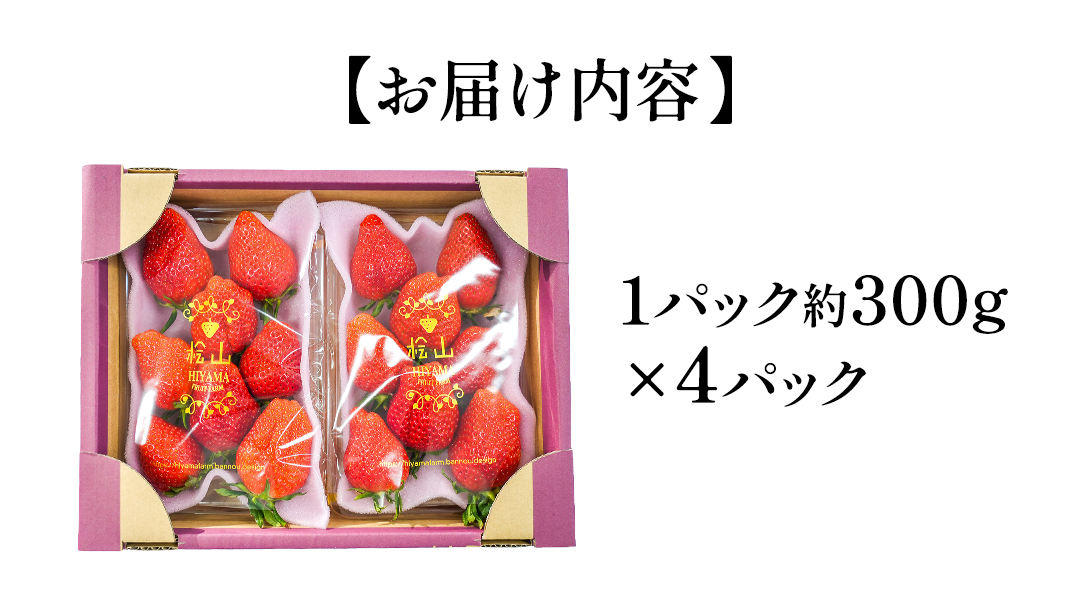 やよいひめ (4パック)　特大・デラックスサイズ（茨城県共通返礼品／常陸太田市） 2026年1月上旬発送開始 大粒 フルーツ 苺 イチゴ いちご 新鮮 朝採れ 茨城県 桧山FRUITFARM [DY014sa]