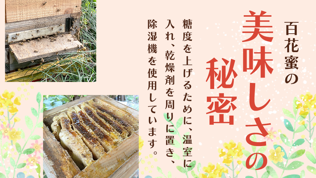 【2025年8月上旬から発送開始】 茨城県桜川市産 「 百花蜜 」合計 300g (150g×2P) 日本みつばち はちみつ ハチミツ 蜜 蜂蜜 パック詰め パック包装 小分け[DZ005sa]