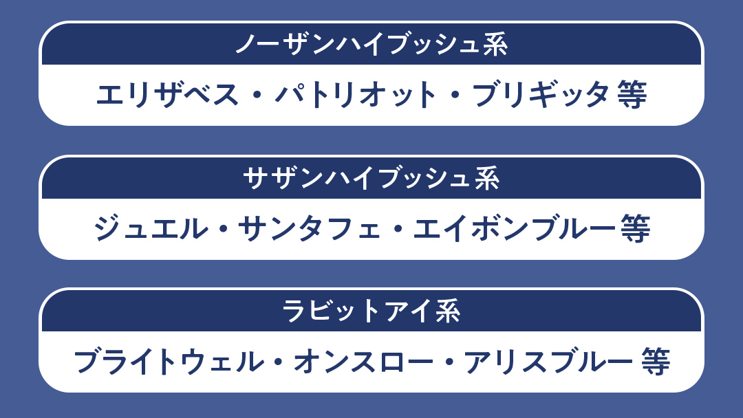【寄附受付は2025年7月29日まで】 ブルーベリー狩り 体験チケット 《大人１名様プラン お土産付き》 ブルーベリー ベリー 食べ比べ 食べ放題 収穫 収穫体験 体験 チケット 招待券 レジャー 観光 旅行 ふれあい お土産 おみやげ 持ち帰り テイクアウト 多品種 果実 果物 くだもの フルーツ 自然体験 農業体験 茨城県 桜川市 [DZ006sa]