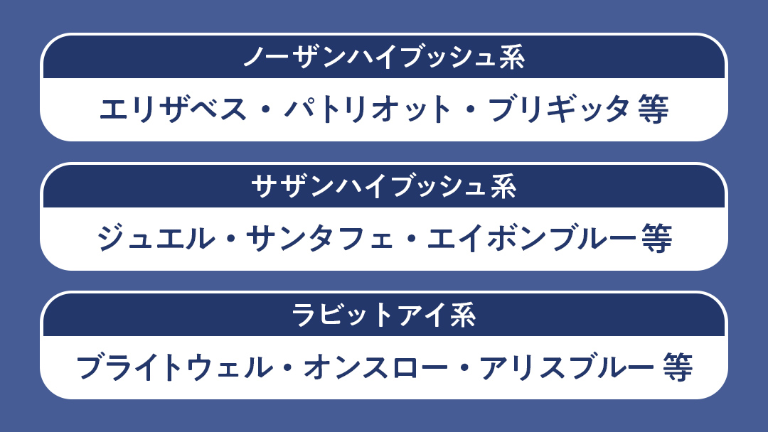 【2025年7月中旬から発送開始】 茨城県産 冷凍 ブルーベリー 合計 1kg (250g×4袋) 多品種 果実 果物 くだもの フルーツ おやつ ブルーベリー ベリー ジャム 小分け [DZ018sa]