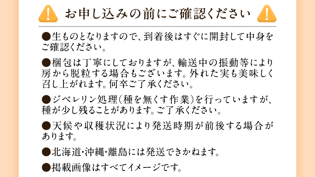 【先行予約】シャインマスカット 約1kg (茨城県共通返礼品/かすみがうら市)マスカット 葡萄 ぶどう ブドウ 歯ごたえ 甘み 香り 鈴木農園 [ED005sa]
