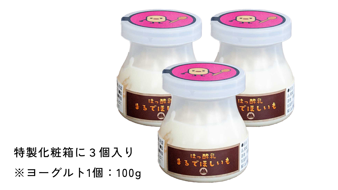筑波ハム 『 まるで ほしいも 』 100g × 3個 ( ほしいもクン 特製 化粧箱 入り )( 茨城県共通返礼品 ) 自家製 ヨーグルト 紅はるか べにはるか 干し芋 干しいも デザート おやつ スイーツ [EN041sa]	