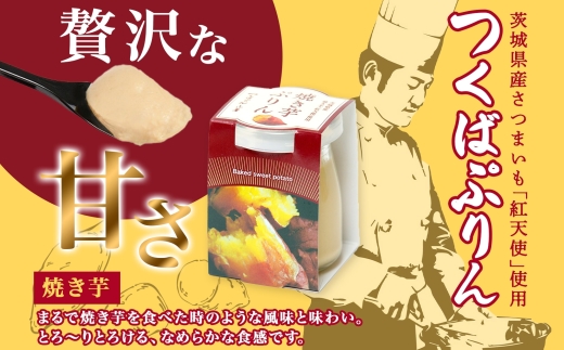 ゴールドぷりん ＆ 焼き芋ぷりん 各3個 計6個 つくばぷりん プリン ぷりん 焼きいも 焼きイモ さつまいも 牛乳 ミルク 卵 スイーツ 贅沢 洋菓子 おやつ 冷菓 ご褒美 デザート 人気 グルメ お取り寄せ ギフト プレゼント 贈り物 送料無料 ふじ屋 茨城県 桜川市 [EW016sa]
