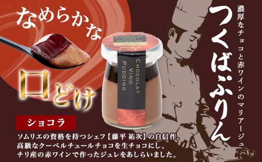 無地熨斗 ゴールドぷりん ＆ ショコラ・ヴィノ・プディング 各3個 計6個 つくばぷりん プリン ぷりん ショコラ チョコレート 牛乳 卵 スイーツ 贅沢 洋菓子 おやつ 冷菓 ご褒美 デザート 人気 グルメ お取り寄せ ギフト プレゼント 送料無料 ふじ屋 茨城県 桜川市 [EW040sa]