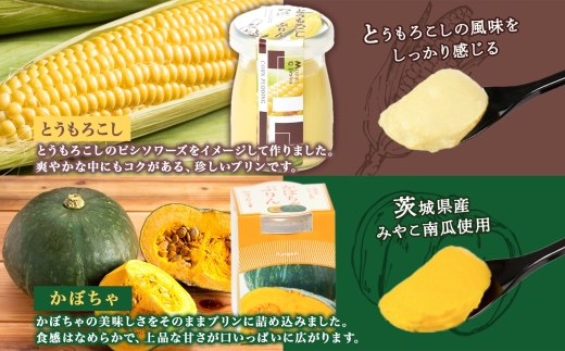 無地熨斗 ゴールドぷりん ＆ とうもろこしプリン ＆ かぼちゃぷりん 各2個 計6個 つくばぷりん  プリン ぷりん とうもろこし トウモロコシ かぼちゃ カボチャ スイーツ 洋菓子 和スイーツ 冷菓 デザート 人気 グルメ お取り寄せ ギフト 送料無料 ふじ屋 茨城県 桜川市 [EW043sa]