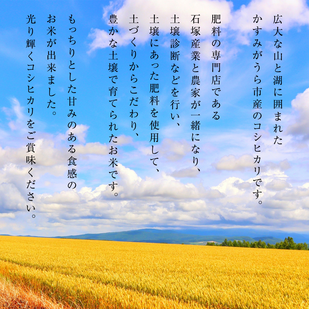 ＼ 7月出荷 ／【令和7年産】コシヒカリ 精米10kg（10kg×1袋）（茨城県共通返礼品 かすみがうら市産） 米 ごはん もっちり 甘い コメ お米 白米 銘柄米  [EX002sa-07]