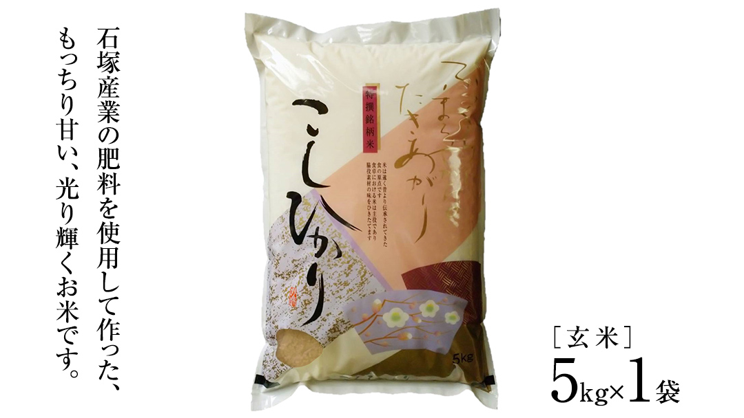 生活応援価格！ 【 令和6年産 】 コシヒカリ 玄米 5kg ( 5kg × 1袋 ) (茨城県共通返礼品 かすみがうら市) 米 ごはん もっちり 甘い コメ お米 玄米 銘柄米 [EX003sa]