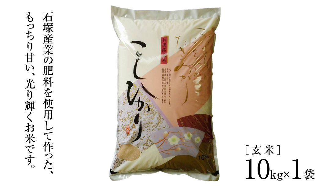 生活応援価格！ 【 令和6年産 】 コシヒカリ 玄米 10kg ( 10kg × 1袋 ) (茨城県共通返礼品 かすみがうら市) 米 ごはん もっちり 甘い コメ お米 玄米 銘柄米 [EX004sa]