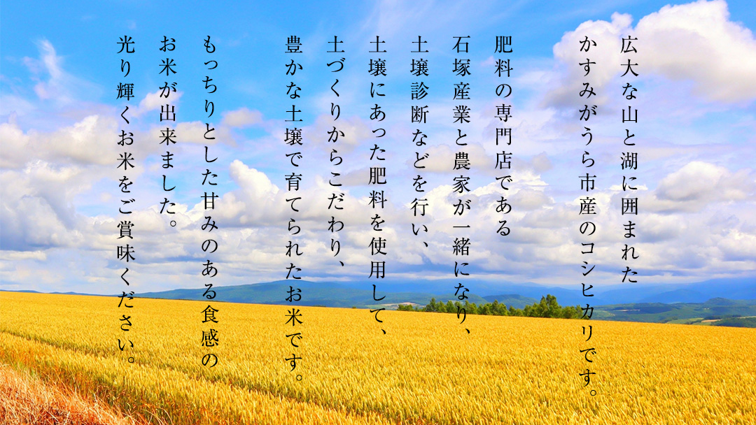 【令和7年産】 ミルキークイーン 精米 5kg（5kg×1袋）（茨城県共通返礼品 かすみがうら市産） 新米 米 ごはん もっちり 甘い コメ お米 白米 銘柄米 [EX016sa]