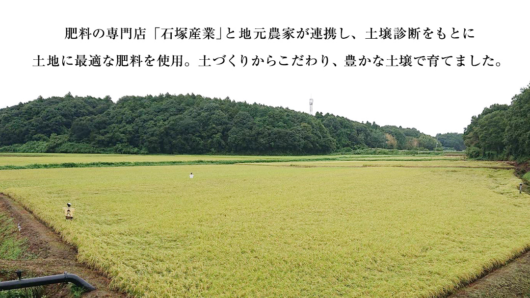 【 令和7年産 】 極上ふるさと米 精米 10kg (茨城県共通返礼品 かすみがうら市) スピード 最短 7日 すぐ届く すぐ発送 スピード発送 早い 米 ごはん もっちり 甘い コメ お米 白米 コシヒカリ こしひかり あきたこまち にじのきらめき ミルキークイーン オールインワン米 [EX032sa]