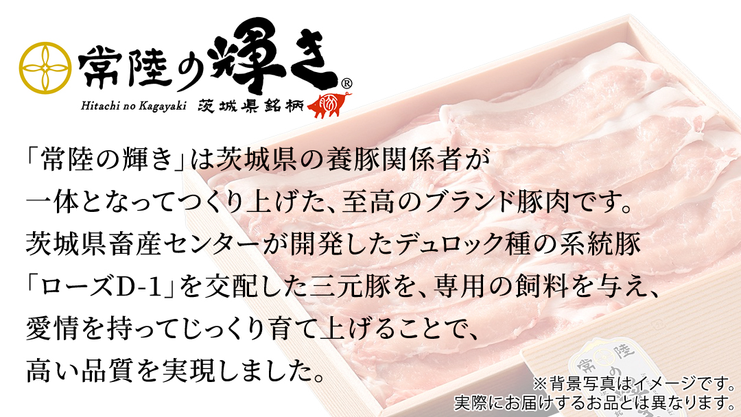 茨城県銘柄豚 「常陸の輝き」 ステーキ ・ とんかつ 用 ロース 1.2kg ( 100g × 6枚 × 2 パック ) (茨城県共通返礼品) 小分け ブランド豚 三元豚 豚肉 肉 冷凍 [FA007sa]