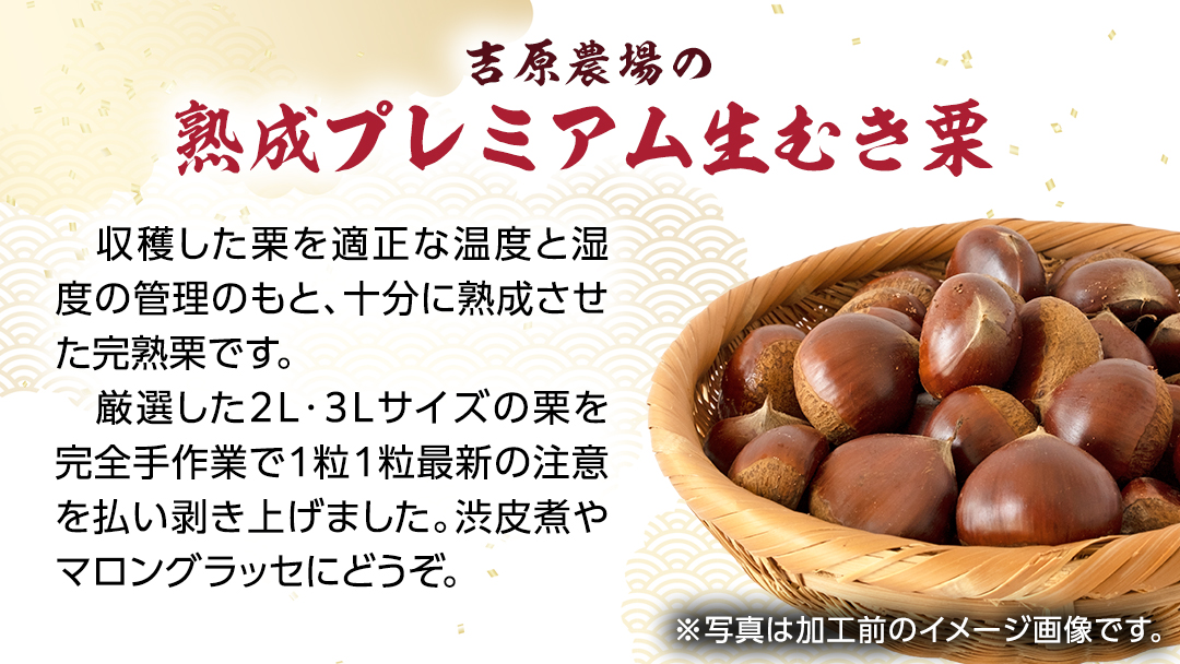 《 先行予約 》 【 吉原農場 の 完熟栗 】 熟成 プレミアム 生むき栗 ( 渋皮付き 500g × 1袋 ) 完熟 栗 くり クリ 栗ごはん 果物 フルーツ 贈答 ギフト 旬 秋の味覚 秋 冬 正月 おせち 《 2025年10月下旬発送開始 》[FC007sa]