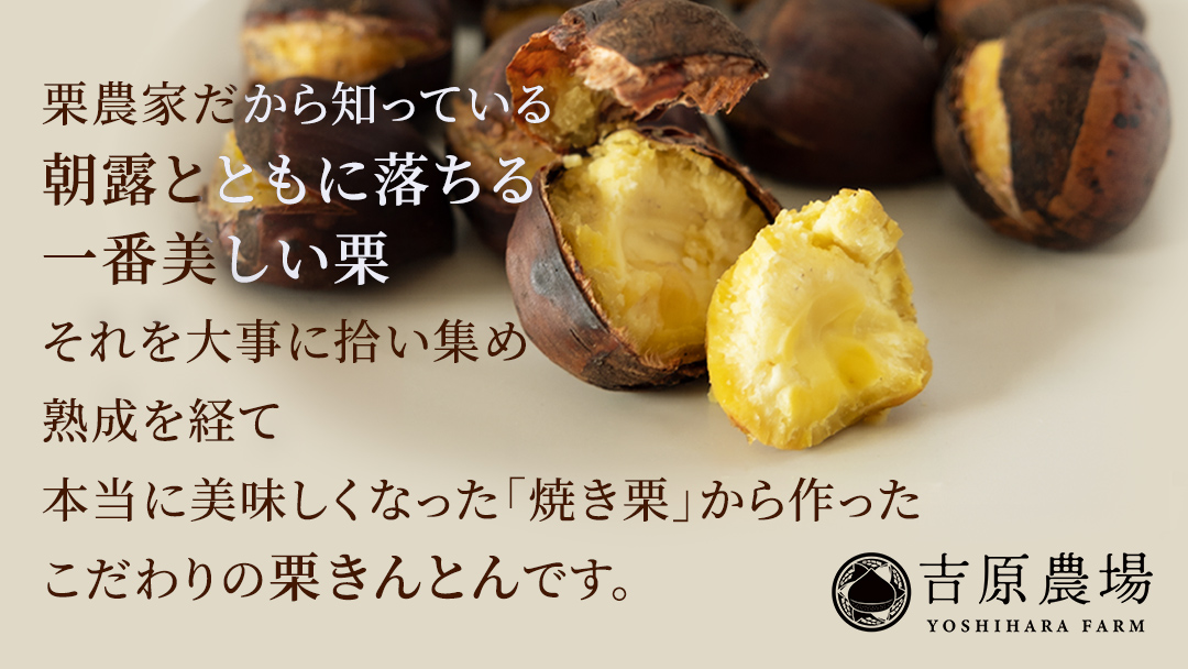 栗の深雫 (くりのしずく) 2箱 完熟 栗 くり クリ 栗きんとん 和菓子 おかし お菓子 贈り物 贈答 ギフト 秋 冬 [FC011sa]