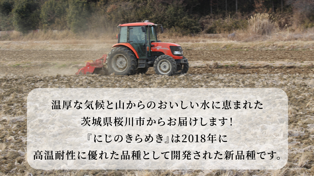 【 3ヶ月 定期便 】 令和7年産 にじのきらめき 10kg × 3回 ( 合計 30kg ) 白米 精米 国産 茨城県 桜川市 お米 米 おこめ おコメ ごはん 銘柄米 [SC056sa]