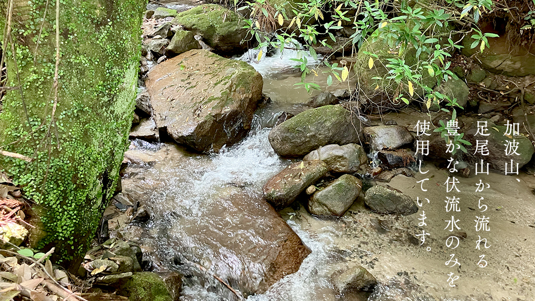 《 令和7年産 先行予約 》棚田で育った極上米 こしひかり 10kg ( 5kg × 2袋 ) 米 お米 白米 コメ ごはん 精米 コシヒカリ 国産 銘柄米 [SC062sa]