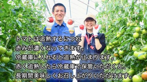 【令和5年2月上旬より順次発送】大玉 スーパーフルーツトマト 小箱 800g × 3箱 【大玉 7～13玉／箱】 糖度9度以上 金賞 受賞 美容 トマト とまと 野菜 [BC017sa]