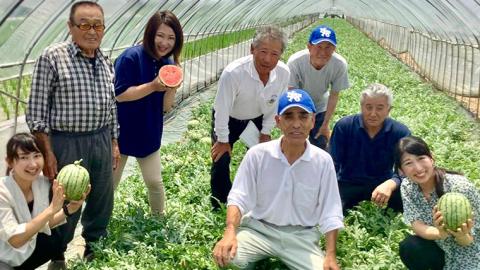 こだまスイカ　愛娘（２玉）【2026年5月中旬より発送開始】 際まで甘いこだまスイカ すいか スイカ 西瓜 甘い [BC030sa]