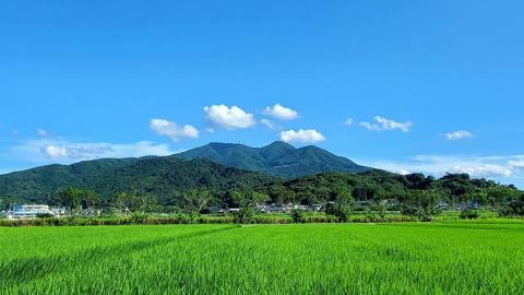 【12月上旬より順次発送】＜お歳暮熨斗付＞花の井 飲み比べ セット 酒 お酒 飲み比べ のみ比べ のし 熨斗 ギフト 贈答 桐箱 お歳暮 御歳暮 日本酒 茨城県[AD010sa]